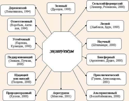Организация экологического туризма: перспективы и этапы развития